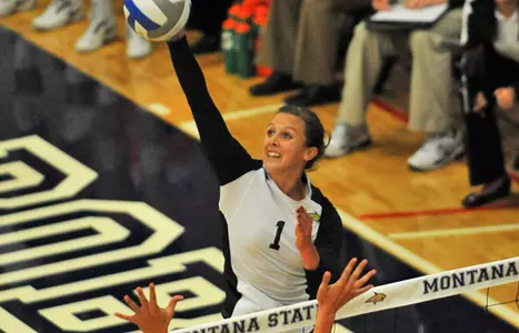 WVB_ALLEN_KILL_2010