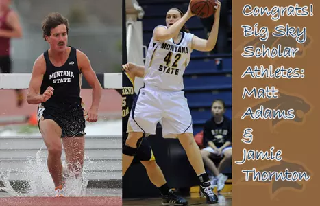 BSC Scholar Board-2010