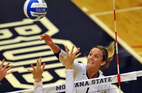 VB_ALLEN_KILL_GRIZ_2011