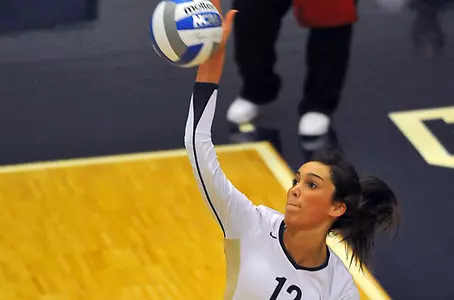 VB_HORTON_KILL_GRIZ_2011