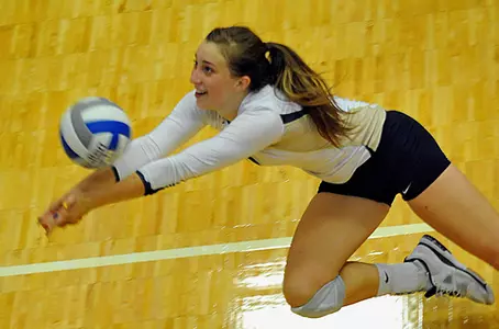 VB_LUNDQUIST_DIG_GRIZ_2011