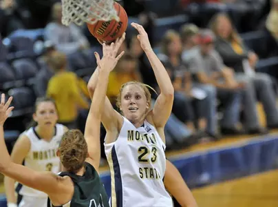 WBB_BRUMWELL_J_TECH_2012.j