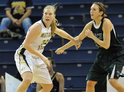 WBB_SEMANKSY_D_TECH_2012