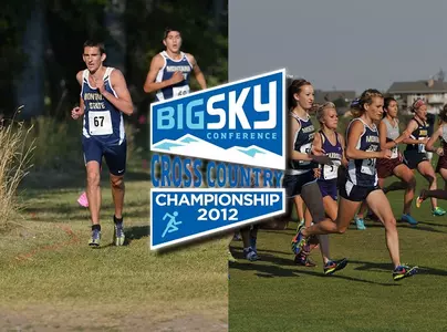 XC_BSC_Preview_740x550