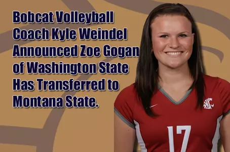 VB_GOGAN_BOARD_2012