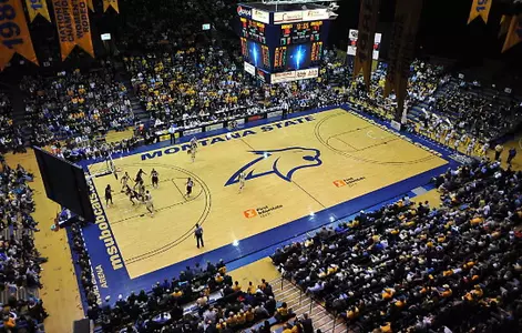 Arena full