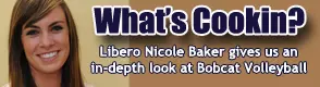 Blogging with Baker