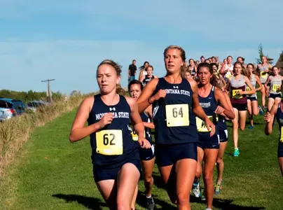 ODore_Schiel_BRC_2013