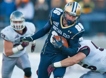 FB_BLESKIN_GRIZ_2013