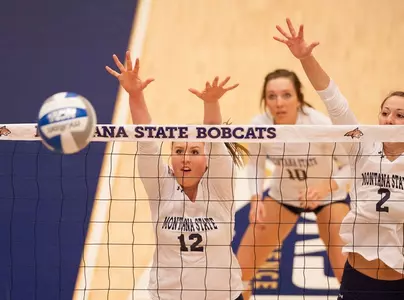 VB_KREUN_BLK_GRIZ_2013