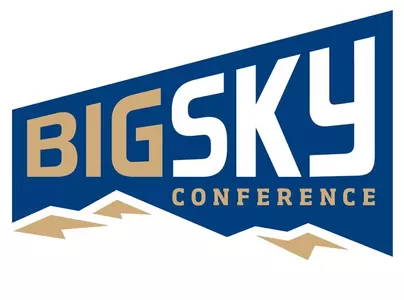 BSC_MSU Color Logo