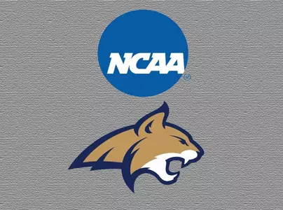 NCAA_New Cat