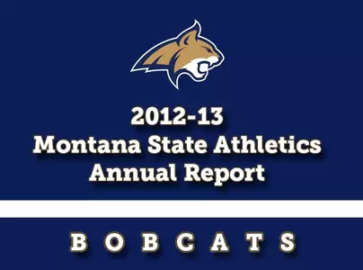 GEN_2013_ANNUAL_REPORT