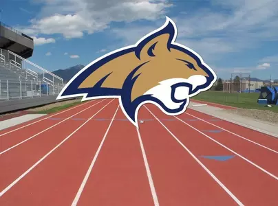 Track_Cat head