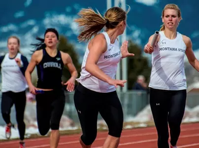 Flanagan_Hardarson_MSUO_2014