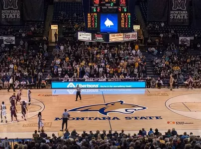 Arena