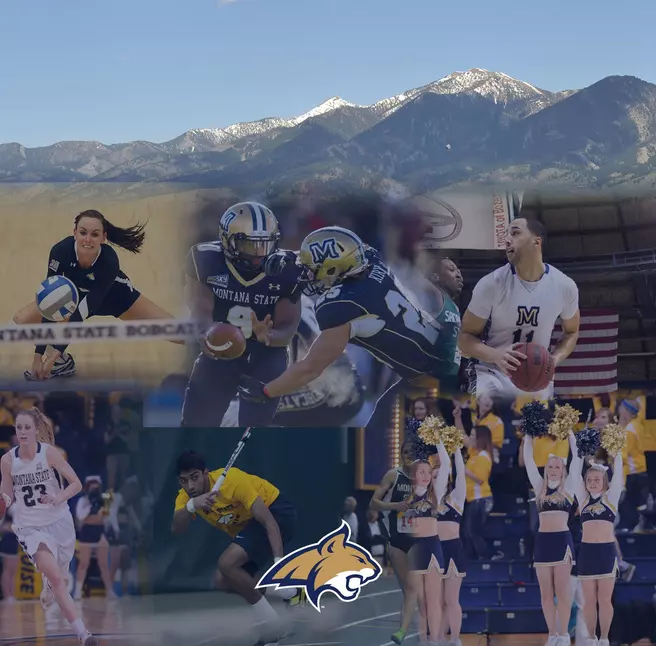 2014 BOBCAT SUMMER CAMPS