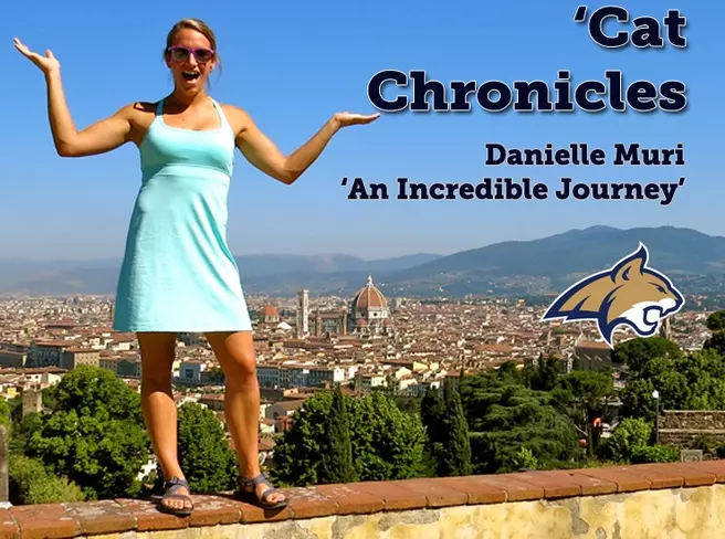 'Cat Chronicles - Blog 9 - Danielle Muri