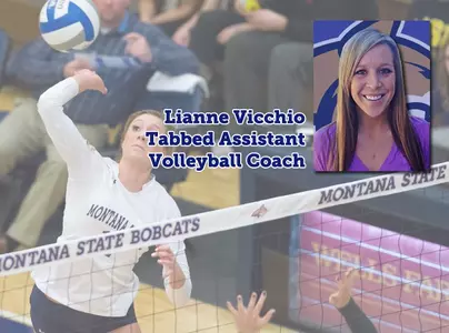 VB_VICCHIO_HIRE_BOARD_2014