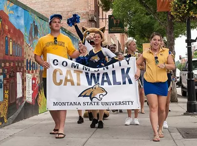 GEN_CAT_WALK
