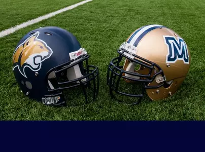 FB_HELMETS_2014
