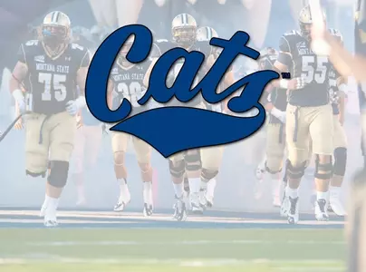 FB_CATS_BOARD