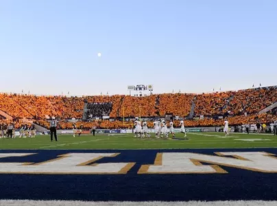 Gold Rush 2014