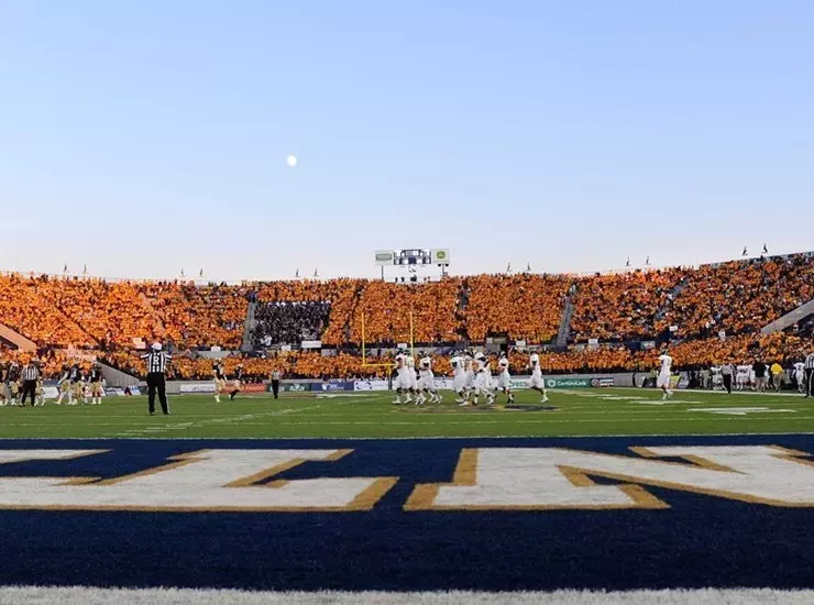 Gold Rush 2014