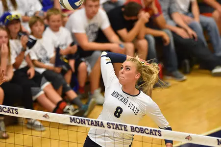 VB_2015_BLACK_KILL_GRIZ