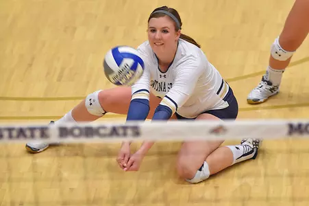 VB_2015_KREUN_DIG_GRIZ