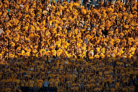 Gold Rush 2014