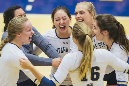 VB_CAT_CELEBRATION_16_ASG