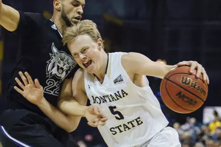 Frey drives vs Weber