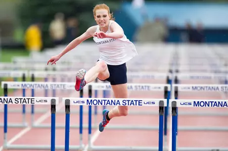 TRK_2016_JAYNES_CAT_GRIZ