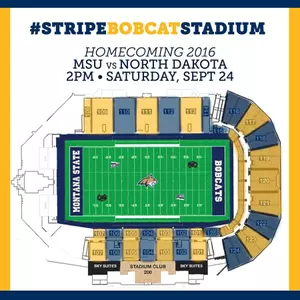 Stripe Bobcat Stadium