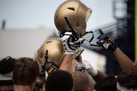 Helmets2