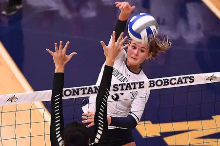 VB_16_DOUGHTY_1_UI_RDH