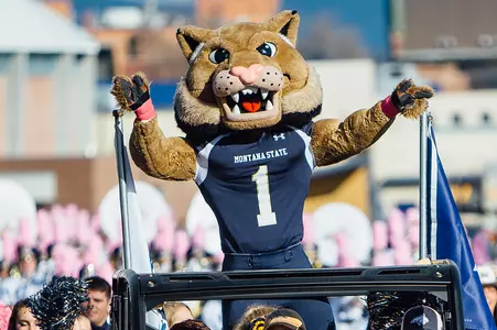 Champ_Mascot_Bobcat