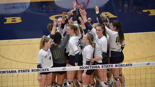 VB_17_CAT_V_GRIZ_WIN_HUDDLE