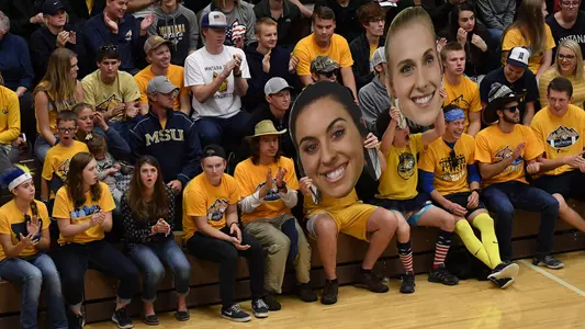 VB_17_CAT_GRIZ_HEADS