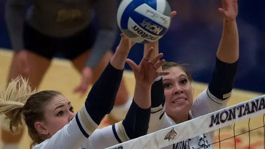 VB_LAWS_BLACK_BLK_17