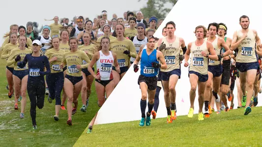 Cross_Country_Review