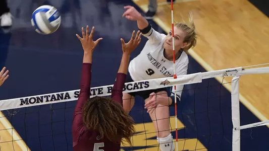 VB_17_PASSECK_KILL_GRIZ