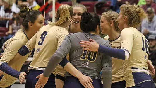 VB_17_CAT_AT_GRIZ_HUDDLE