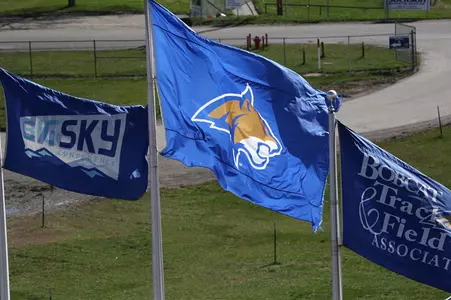 Track and Bobcat Flags