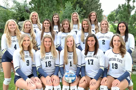 VB_17_TEAM