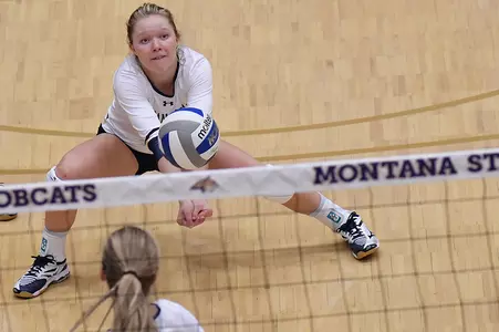 VB_17_GOROSKI_DIG_GU