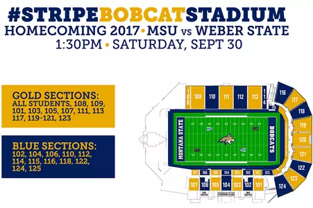 Stripe Front Cover - 2017