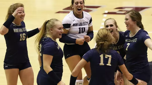 VB_18_CELEBRATION_CAT_GRIZ_AP