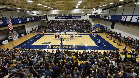 VB_18_CAT_GRIZ_SOLD_OUT